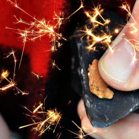 Fire Lighting Workshop