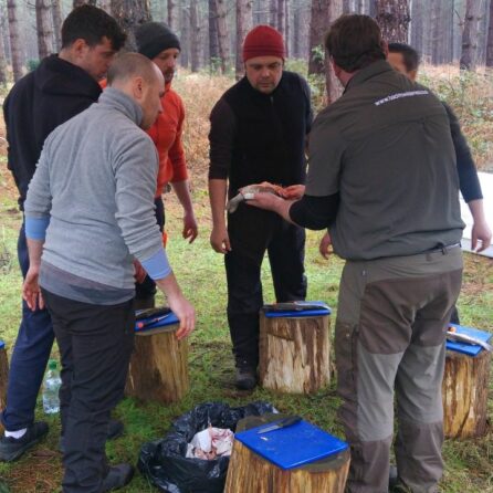 The Survival School Level 2 Bushcraft Qualification Assessment - Follow Up To Level 2 Bushcraft Training